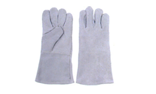 Shraddha Enterprises